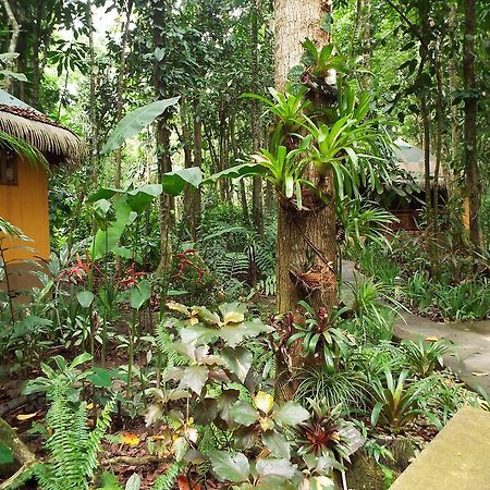 Korrigan Lodge Cahuita Bagian luar foto