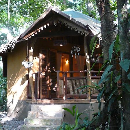 Korrigan Lodge Cahuita Bagian luar foto