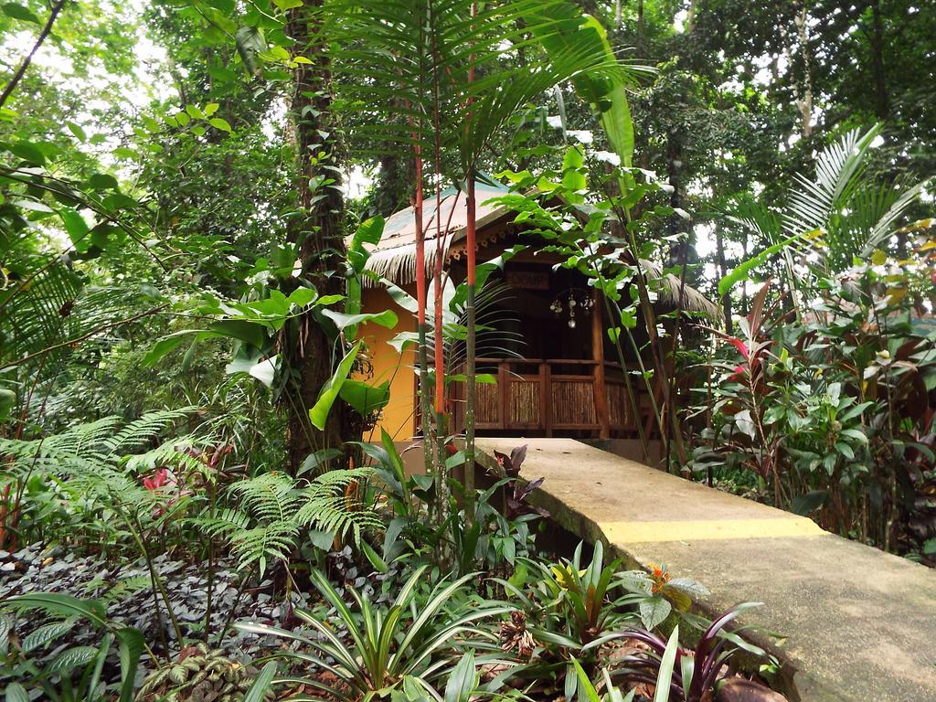 Korrigan Lodge Cahuita Ruang foto