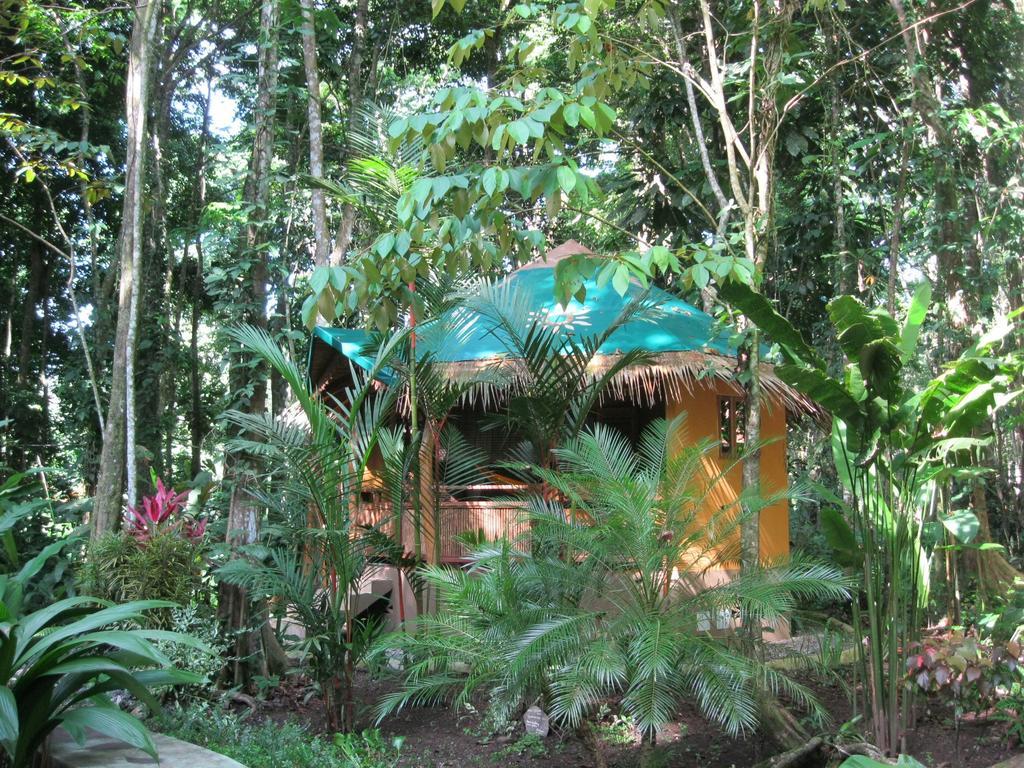 Korrigan Lodge Cahuita Ruang foto