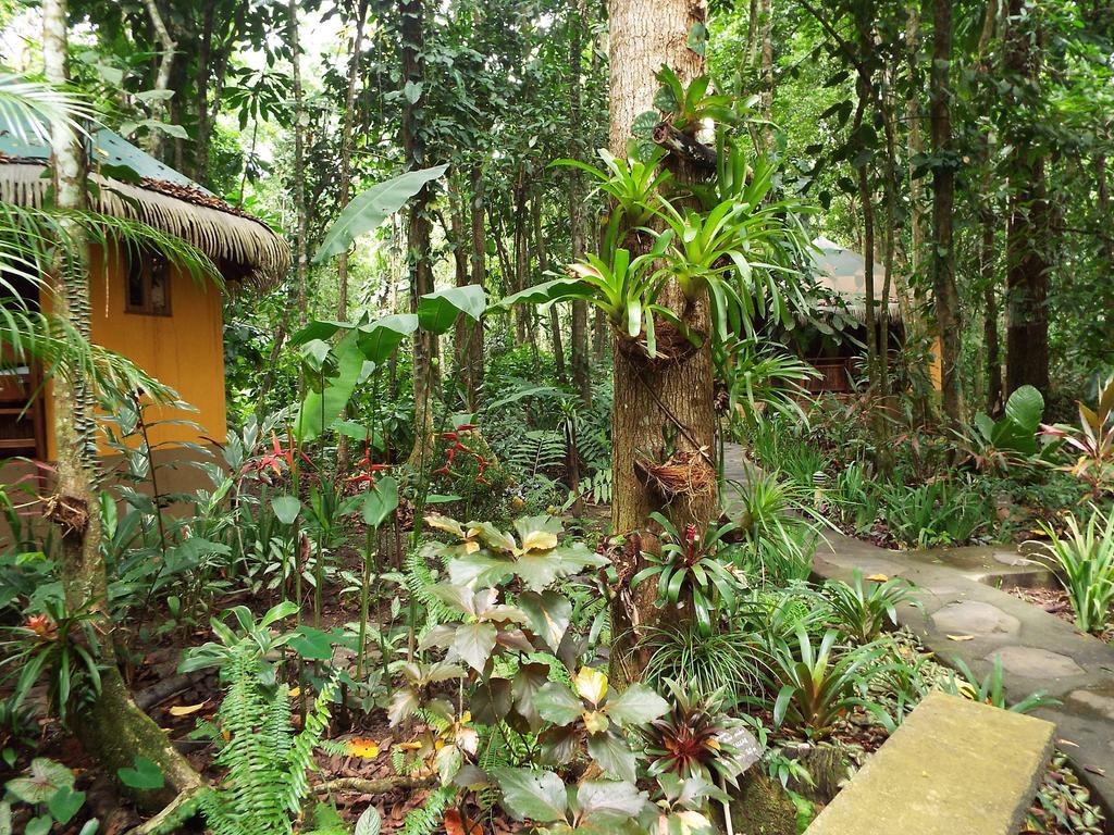 Korrigan Lodge Cahuita Bagian luar foto