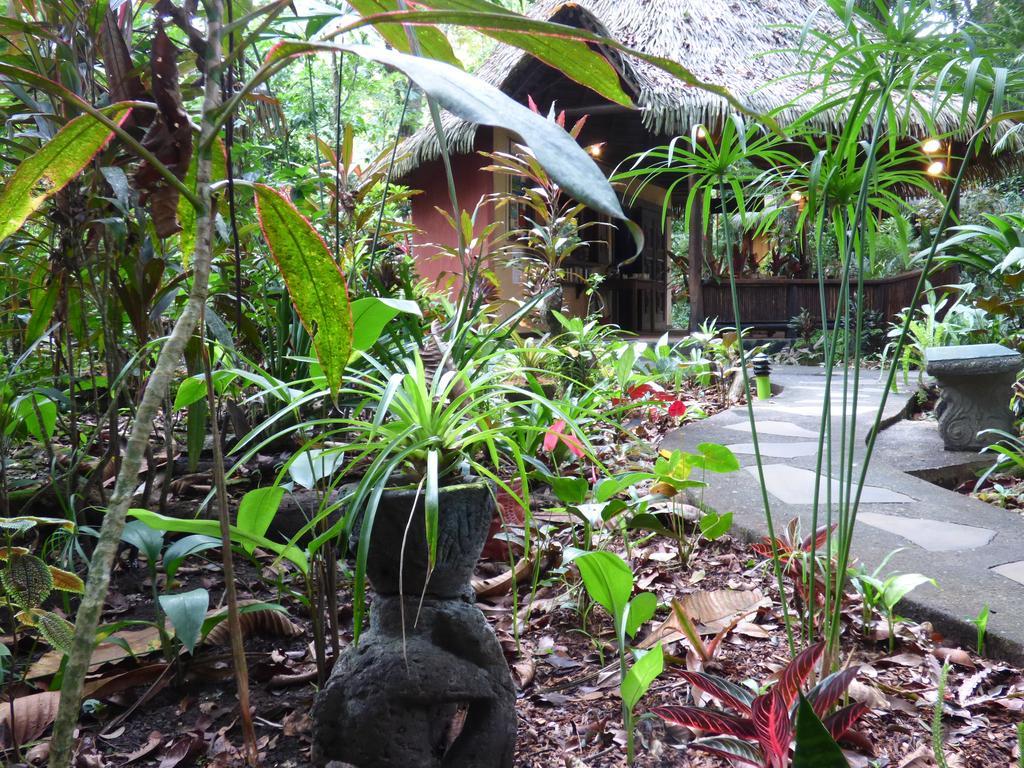 Korrigan Lodge Cahuita Bagian luar foto