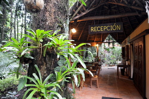 Korrigan Lodge Cahuita Bagian luar foto