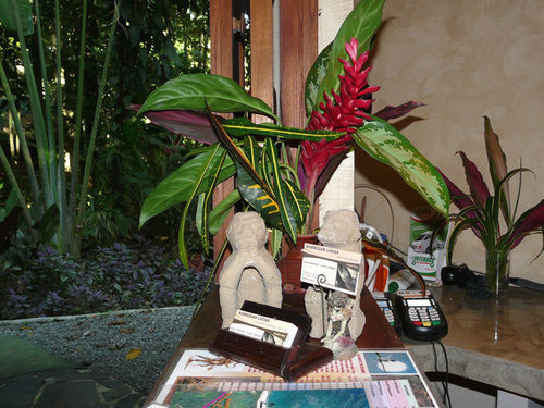 Korrigan Lodge Cahuita Bagian luar foto